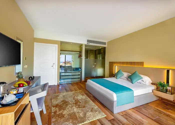 Deluxe King Room
